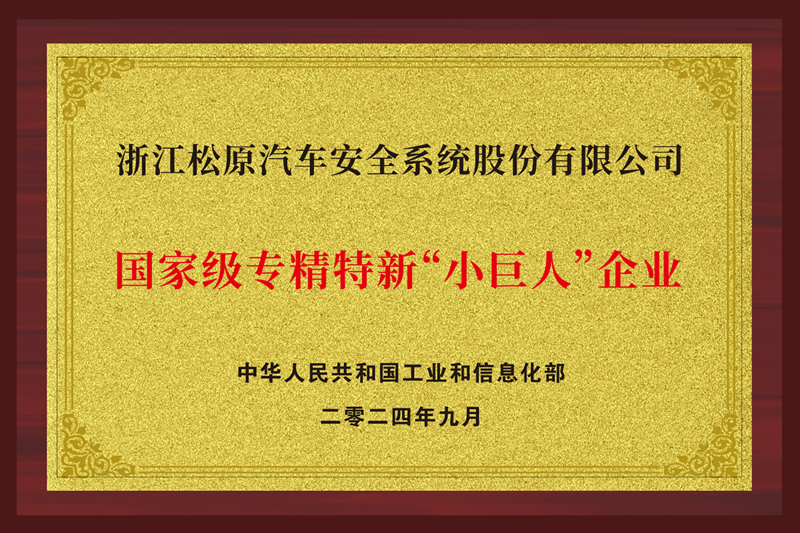 國家級專(zhuān)精特新“小巨人”企業(yè)